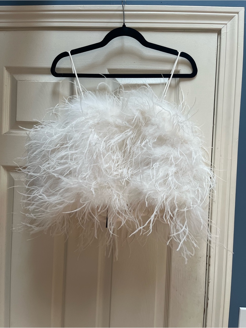 Banana Republic Ostrich Feather White Crop Top - Picture 2 of 4